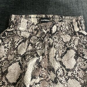 Express snake print shorts.